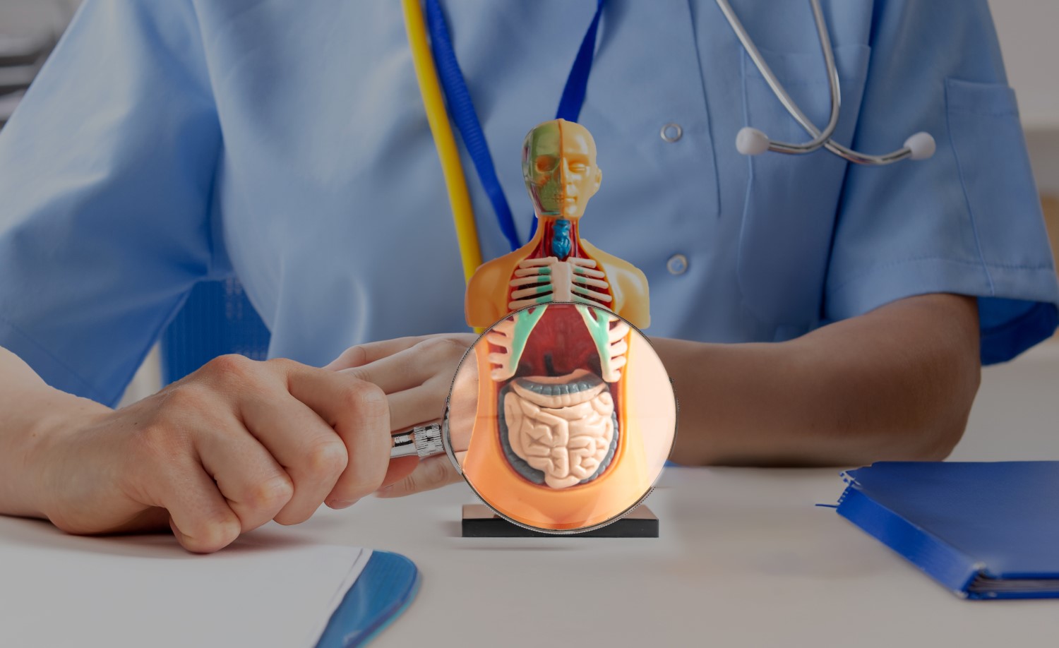 Abdominal Assessment: A Step-by-Step Module for Nurses